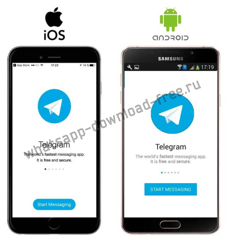 Telegram start. Приложение телеграмм. URL-схема приложения Telegram. Чей чье приложение телеграм. Приложение в телеграм что бы узнать по номеру машины.