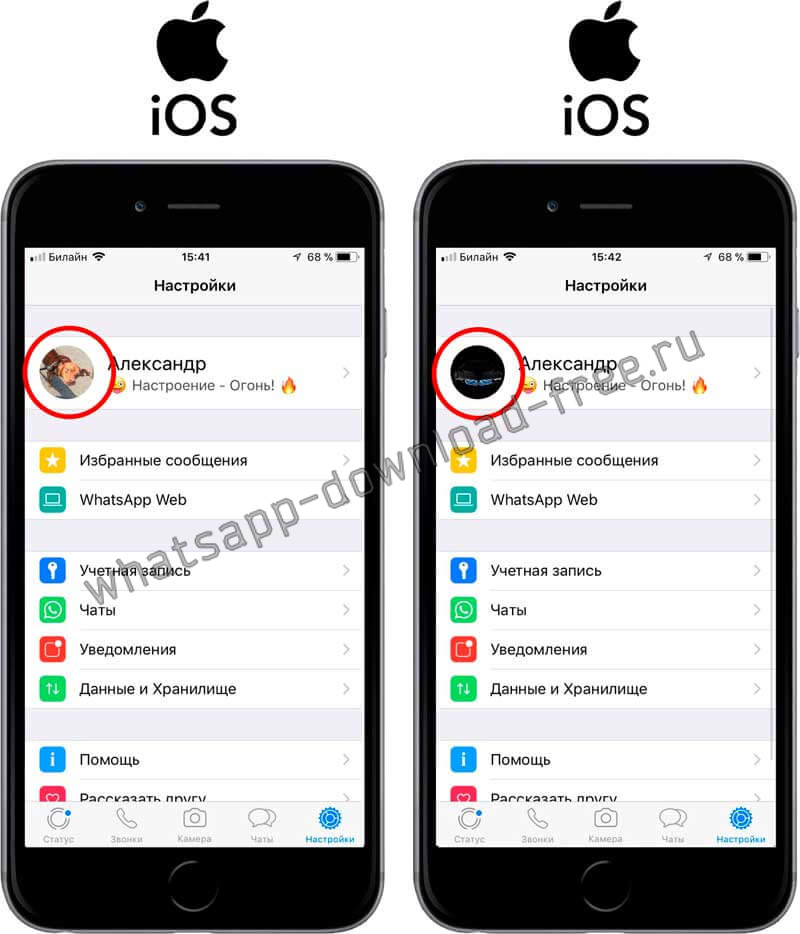 Аватартка до и после в WhatsApp на Iphone