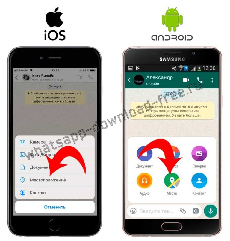 Как скинуть геолокацию по whatsapp с айфона пошагово с картинками